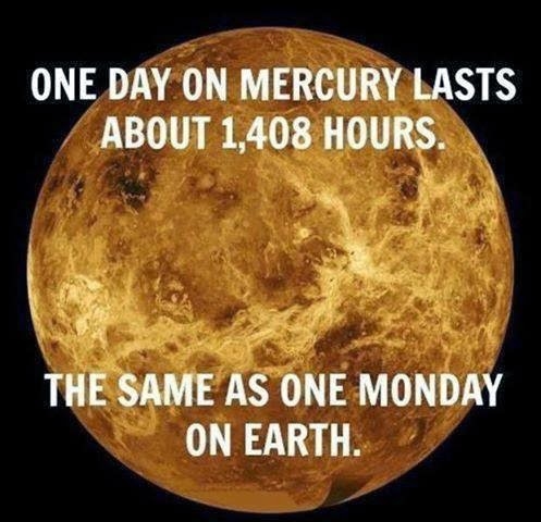 Mondays Mondays