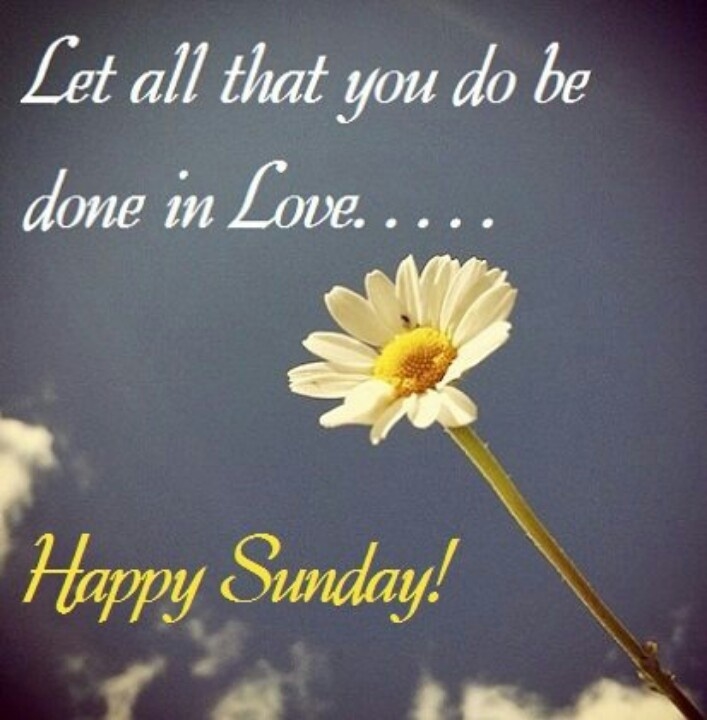 Happy Sunday