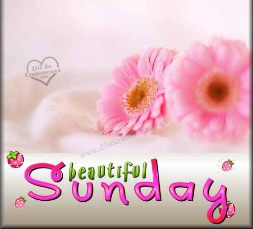 Beautiful sunday Beautiful sunday