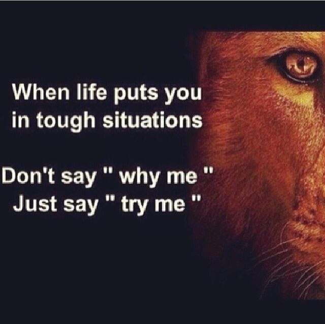 Try Me Try Me