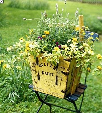 Spring Planter