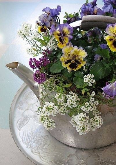 Teapot filled with Spring Flowers Teapot filled with Spring Flowers