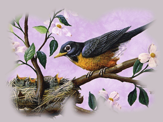 Mama & Baby Birds in the Spring