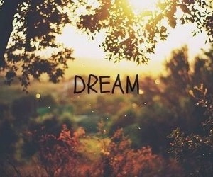 Dream