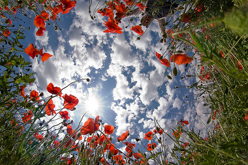 Bright spring day