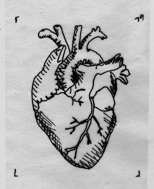 Heart in my Hands Heart in my Hands