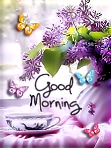 Good Morning Good Morning