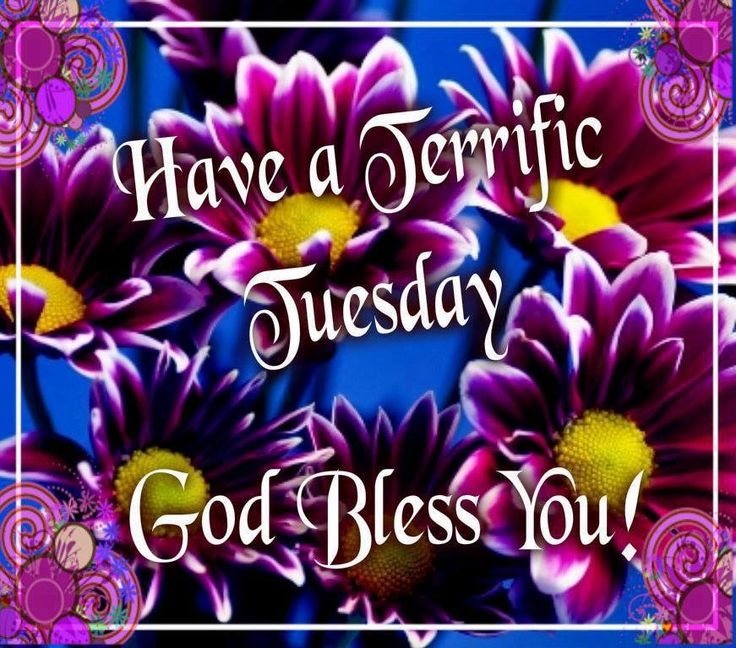 Have a terrific Tuesday Have a terrific Tuesday