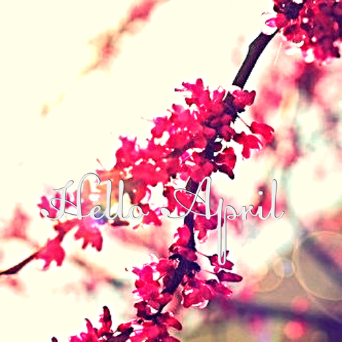 Hello april Hello april