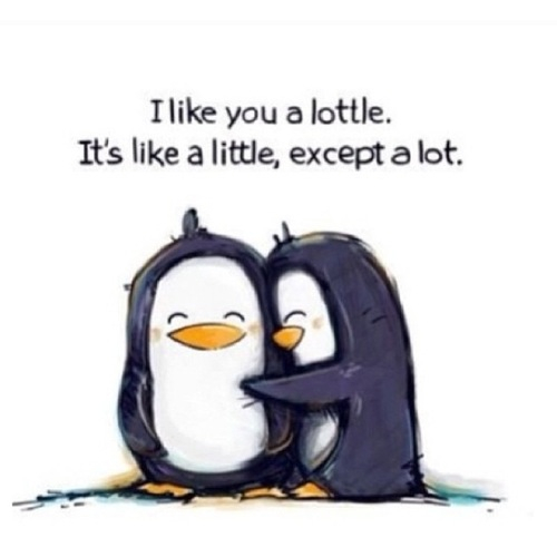 I like you a lottle..