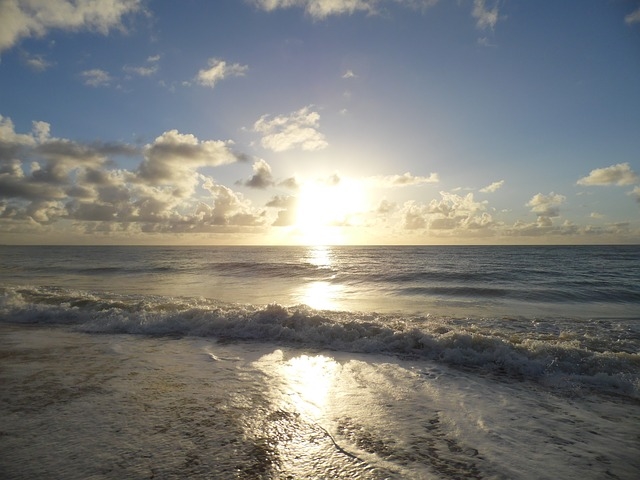 Beach sunset