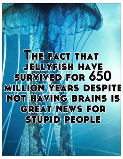 Great news for stupid people