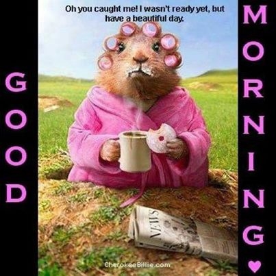 good morning