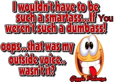 I wouldnt have to be such a smartass