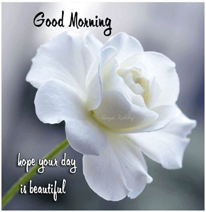 Good Morning