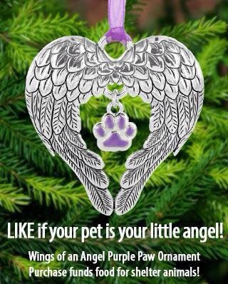 your pet your pet