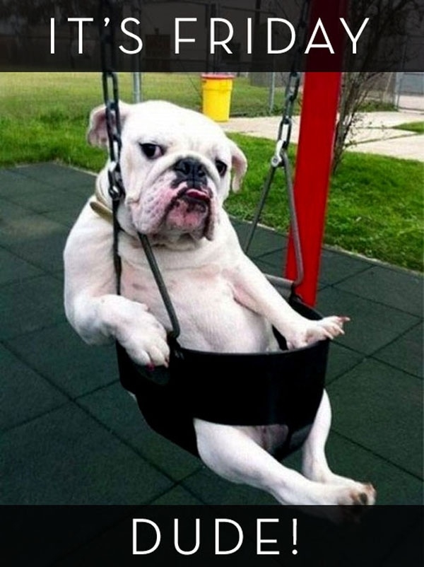 Its Friday Dude Its Friday Dude