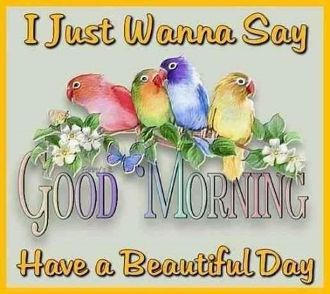 Good Morning Good Morning