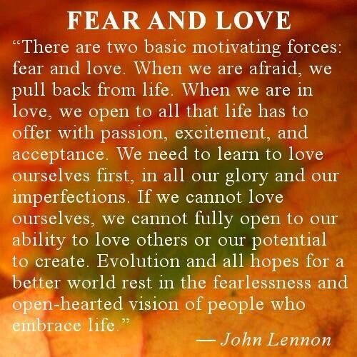 Fear and love Fear and love