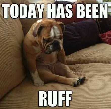 Today has been ruff