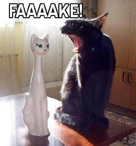 fake