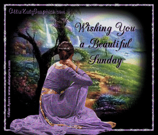 Wishing you a beautiful Sunday Wishing you a beautiful Sunday