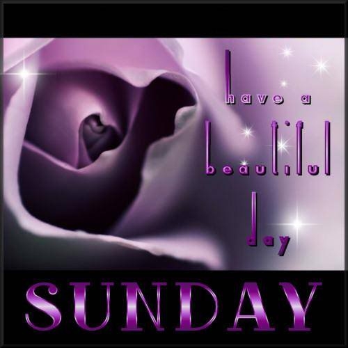 Have a beautiful Sunday Have a beautiful Sunday