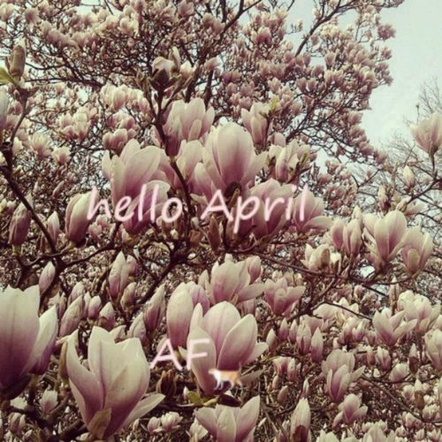 Hello April Hello April
