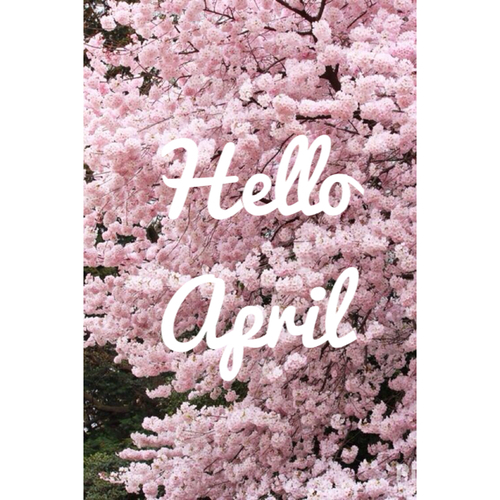 Hello april Hello april