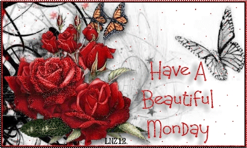 Have a beautiful Monday Have a beautiful Monday