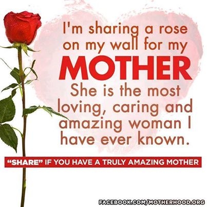 sharing a rose for my mother sharing a rose for my mother