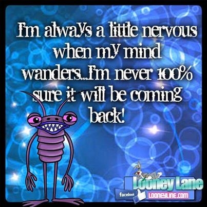 when my mind wanders when my mind wanders