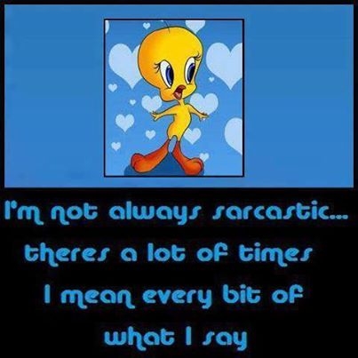 Im not always sarcastic Im not always sarcastic