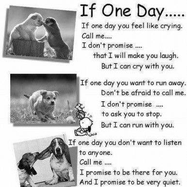 If One Day If One Day