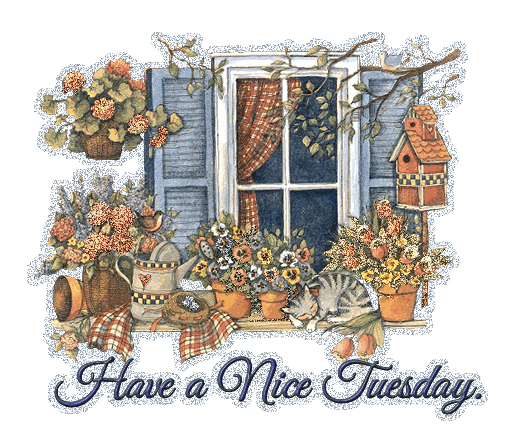 Have a Nice Tuesday Have a Nice Tuesday
