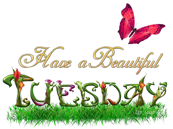Have a beautiful Tuesday