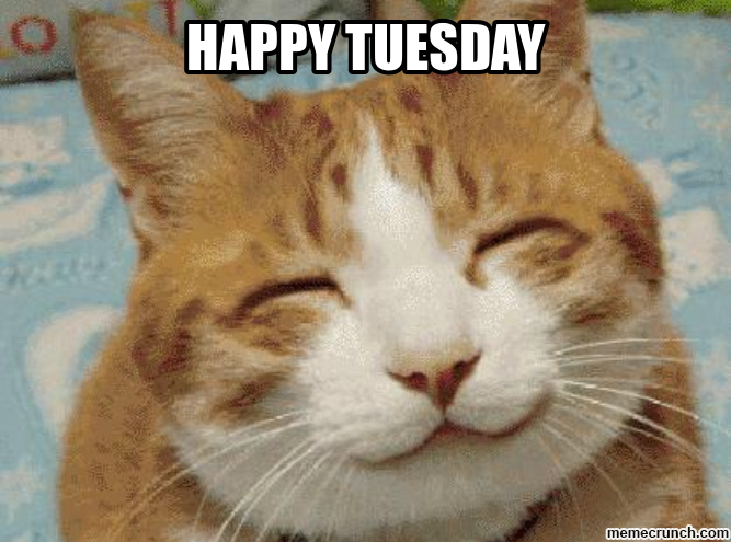 Happy Tuesday