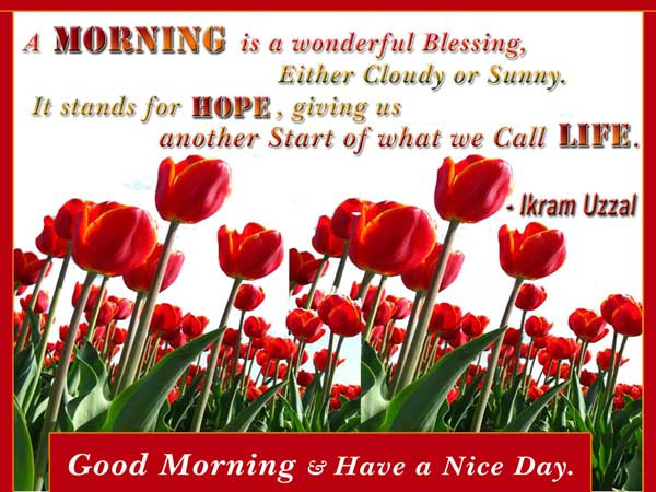 good morning