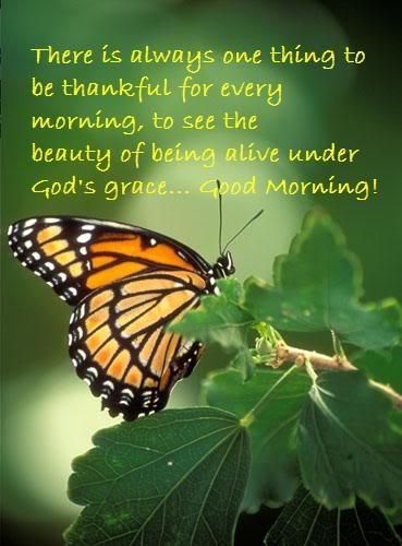 good morning