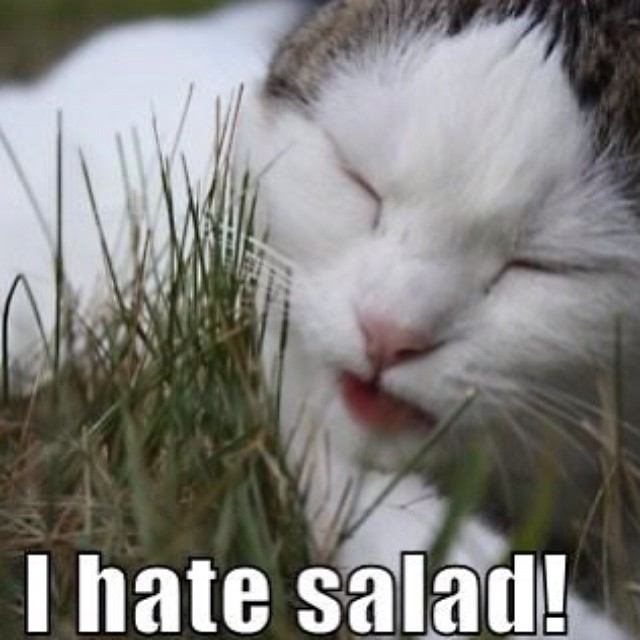I hate salad