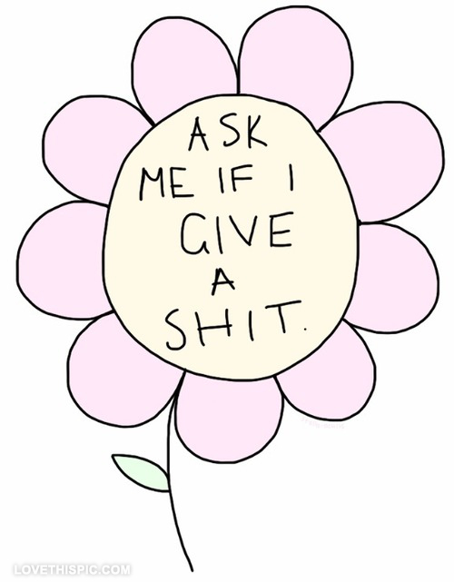 ask me if i give a shit