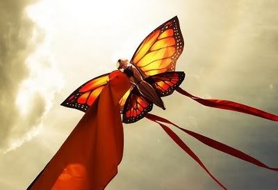 Butterfly Kite Butterfly Kite