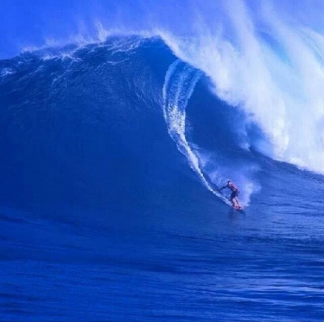 Surf Surf