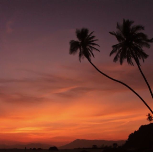 Beautiful Sunset