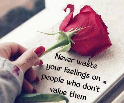 never waste your feelings never waste your feelings