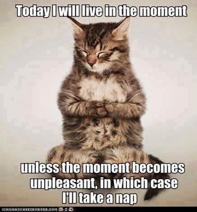 live in the moment