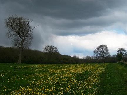 Cold Storm