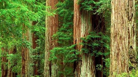 Nature's Beauty!! Nature's Beauty!!