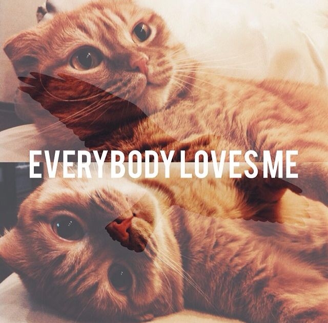 Everybody Loves Me