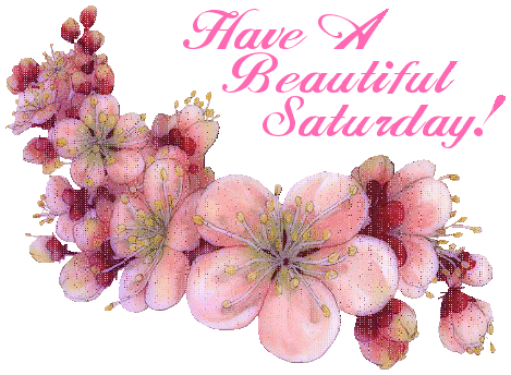 Have a beautiful Saturday